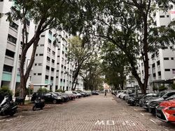 Clementi Meadows (D5), Shop House #571624831